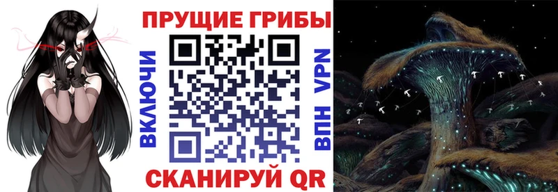 Псилоцибиновые грибы MAGIC MUSHROOMS  Купить  Балашов 